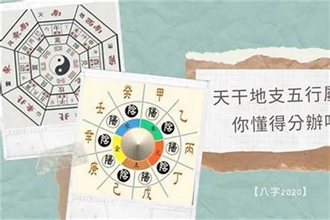 喜神是金|命理知识：喜神是金什么意思